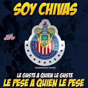 Meet your Posher, Jorge